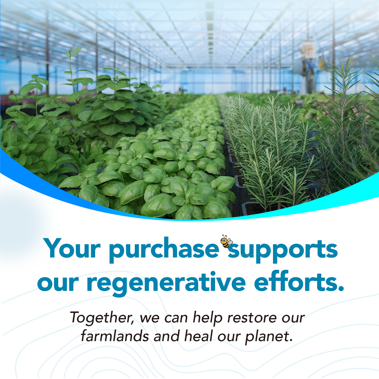 Joint Health Supplement – Turmeric, Boswellia, Hyaluronic Acid & Collagen | 30 Capsules