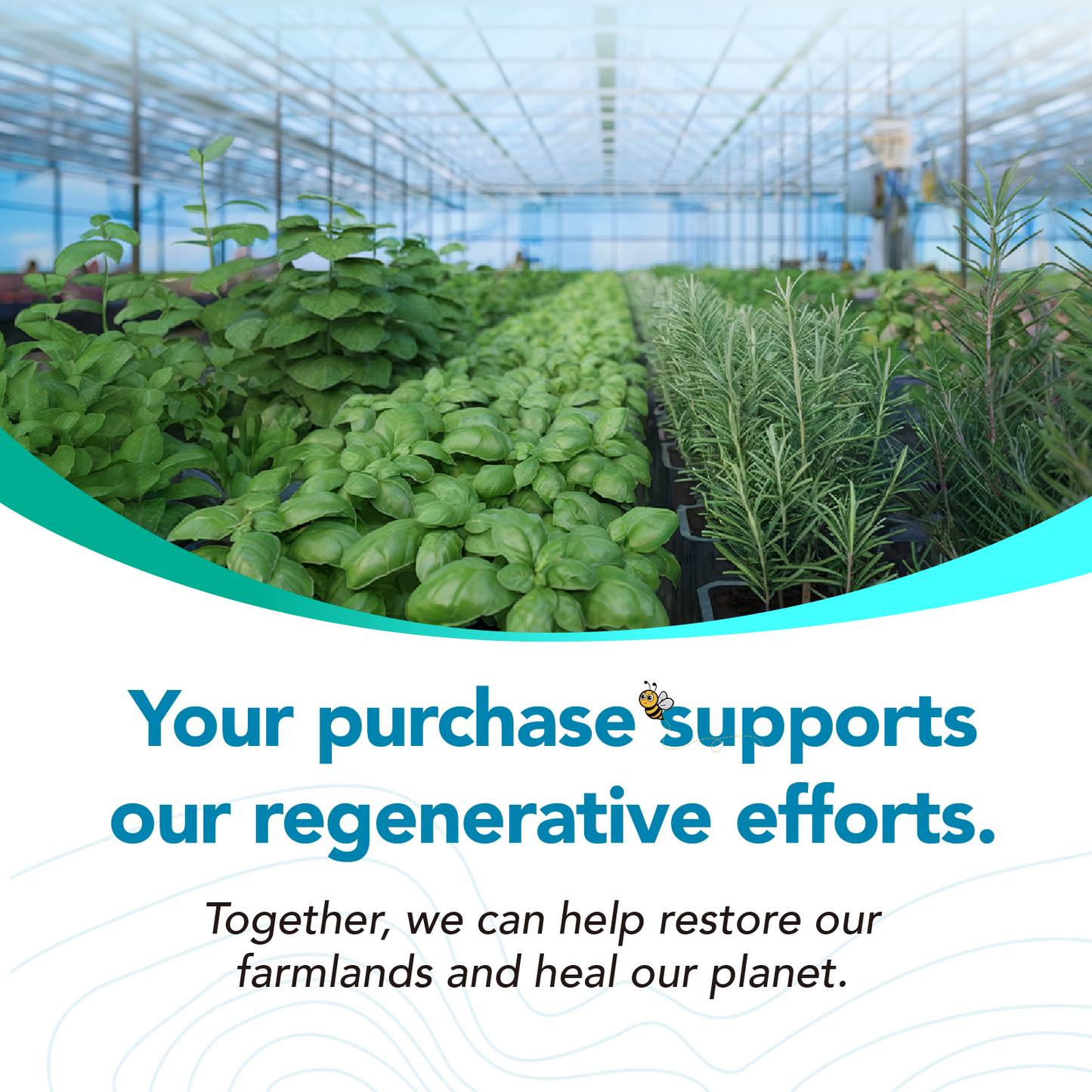 7-in-1 Magnesium Complex – Memory, Focus & Mood Support – Magnesium Glycinate, Citrate | 60 Capsules