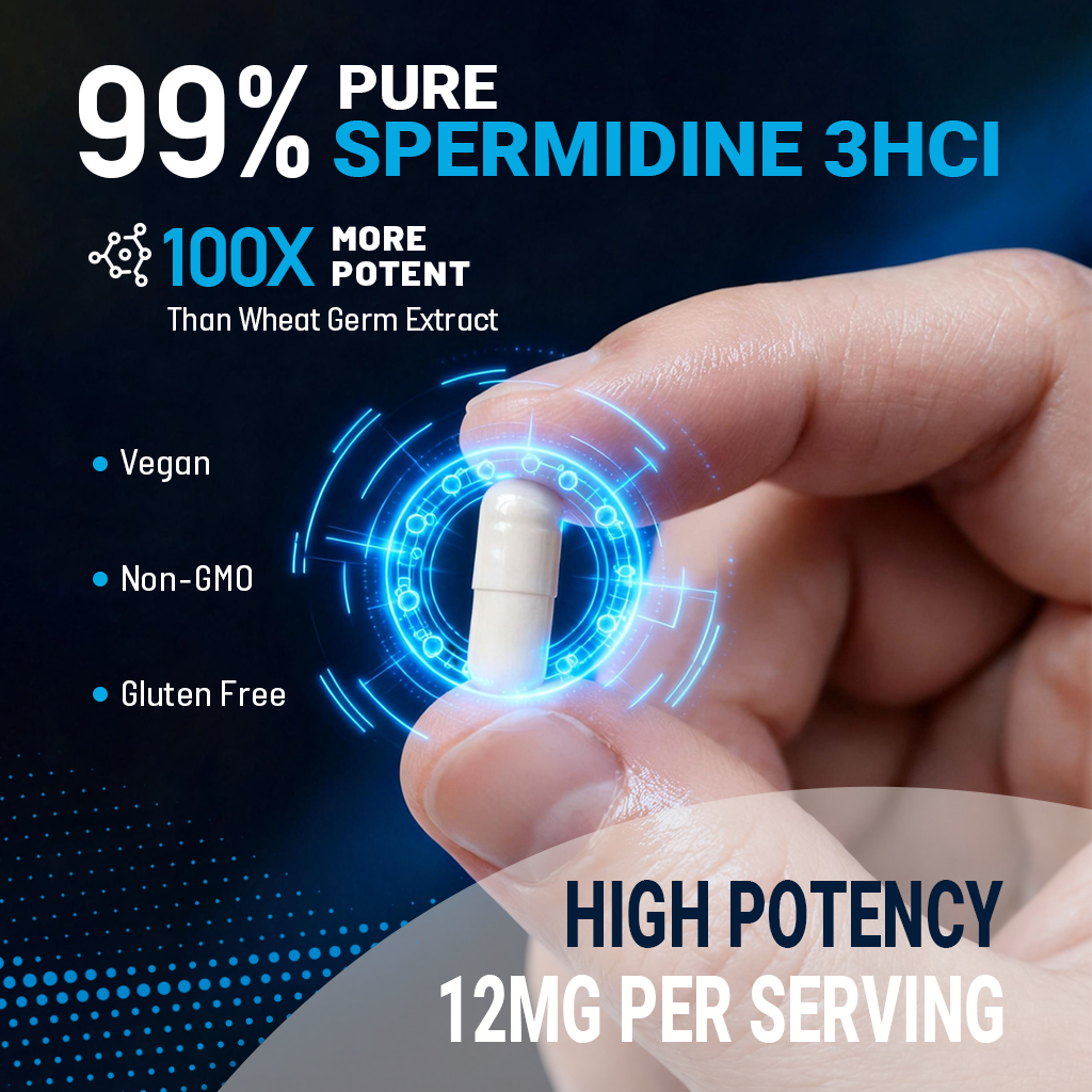 Herbal Bee Spermidine 1440mg, Cellular Renewal & Healthy Aging Support – Cognitive Function, Vitality & Longevity Support – 120 Capsules (120 Servings)