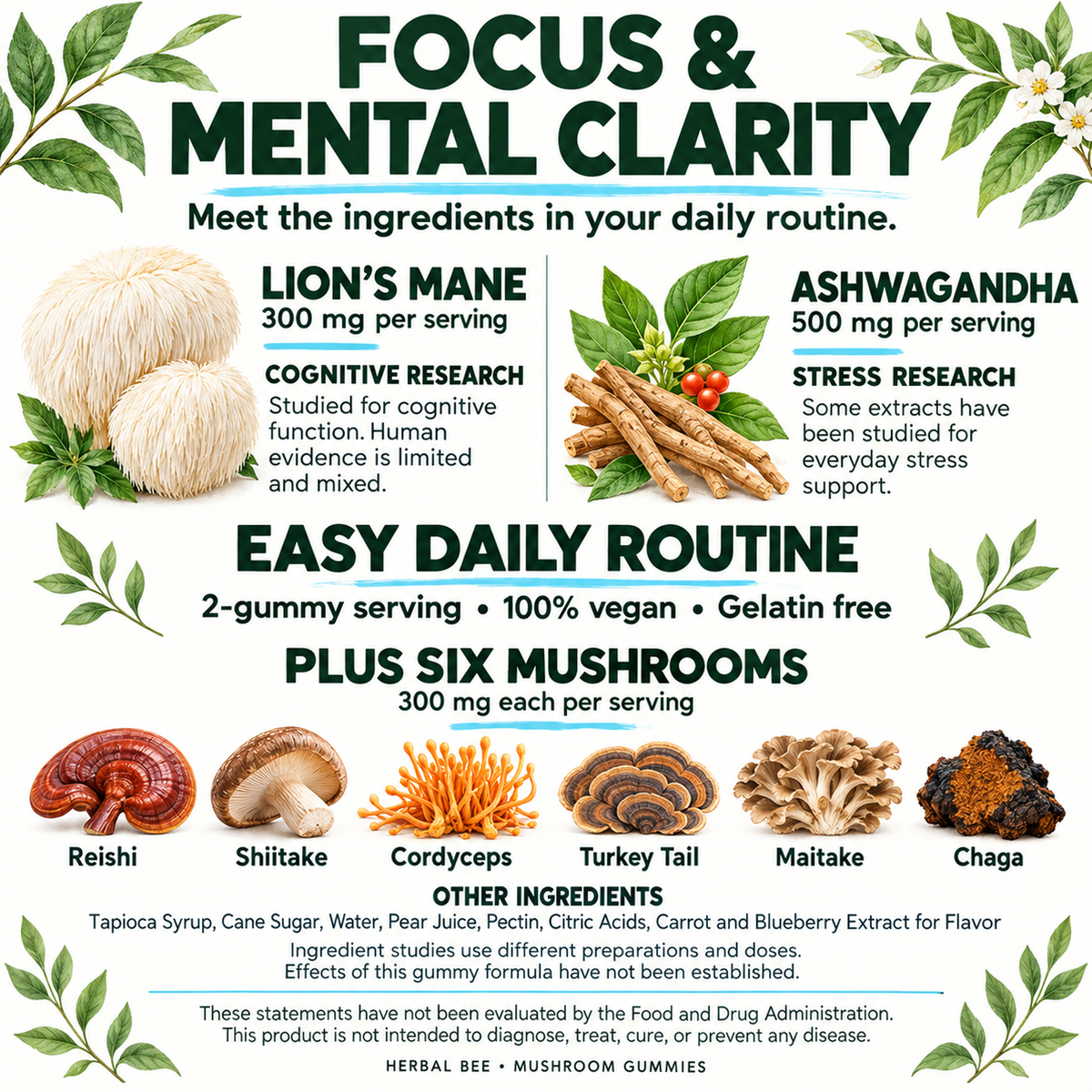 Herbal Bee Mushroom Gummies – Lion's Mane, Ashwagandha & 6 Mushrooms, 80 Gummies