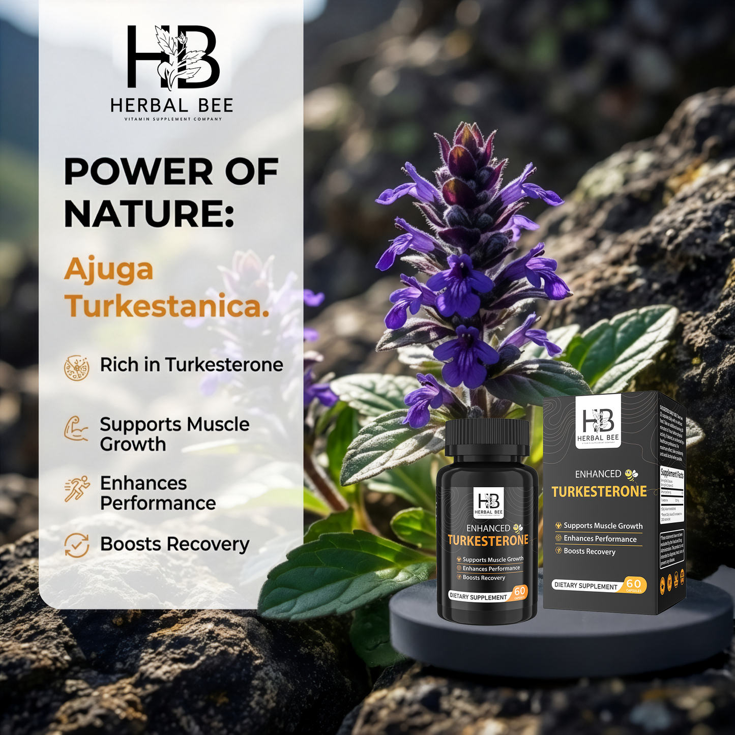 Herbal Bee Turkesterone Supplement For Men & Women – 1,000mg High Potency Turkesterone Extract | Supports Healthy Testosterone Levels, Muscle Growth, 60 Capsules