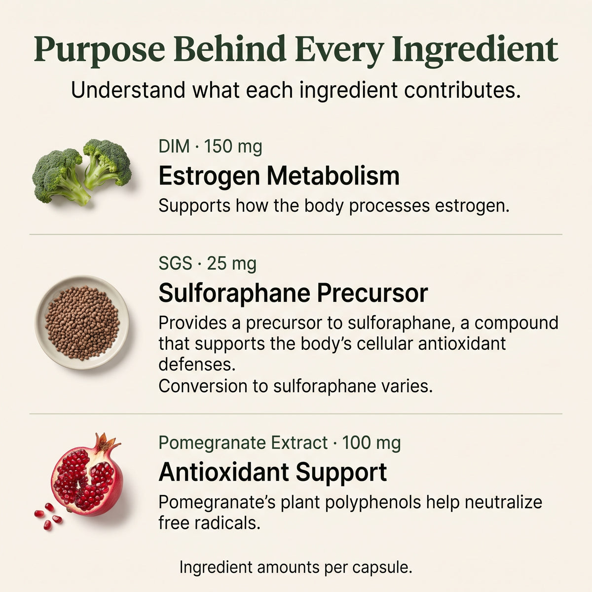 Herbal Bee DIM SGS+ ingredients and what they support
