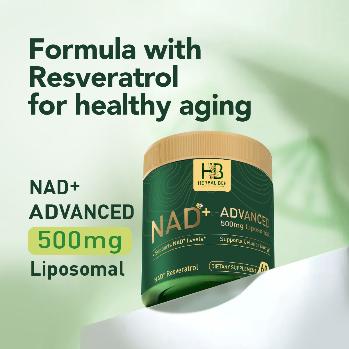 Herbal Bee Liposomal Nad+, Cellular Energy & Mitochondrial Support – Healthy Aging & Antioxidant Support – 60 Capsules (30 Servings)